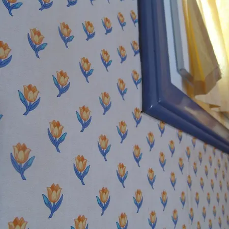 Aiolos Tsoukaládhes