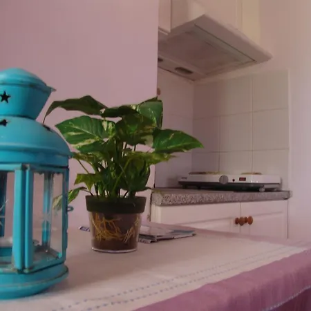 Aiolos Tsoukaládhes